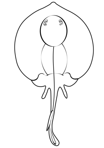 Round Stingray (Urolophus Halleri) Coloring Page